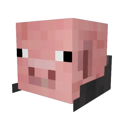 singularity22 Minecraft avatar head, 3D render