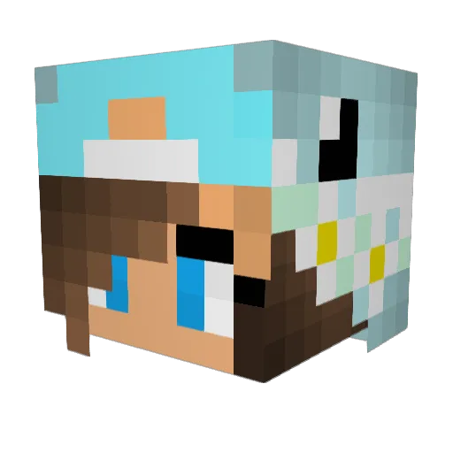 sini_miiip Minecraft avatar head, 3D render
