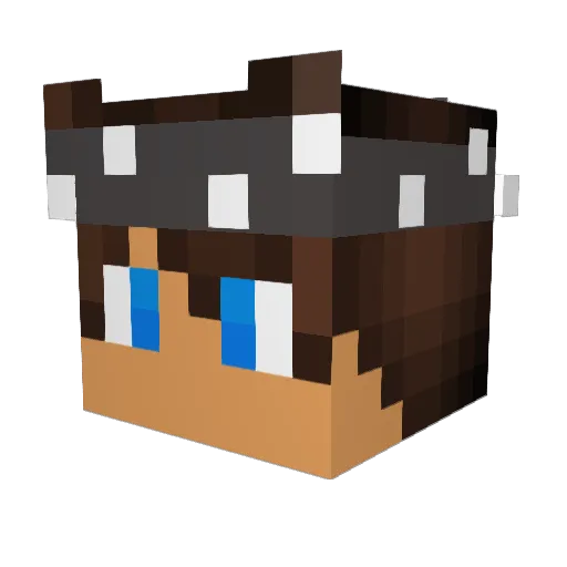 sinkasinka Minecraft avatar head, 3D render
