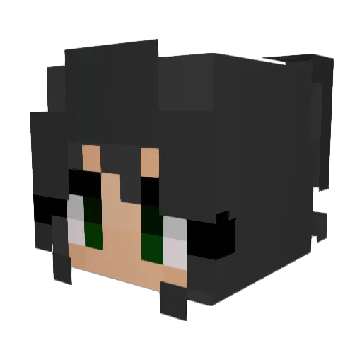 sinkin_beugs Minecraft avatar head, 3D render
