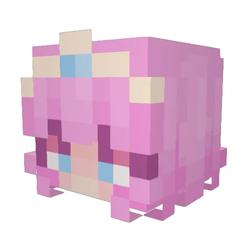 sinnz51 Minecraft avatar head, 3D render