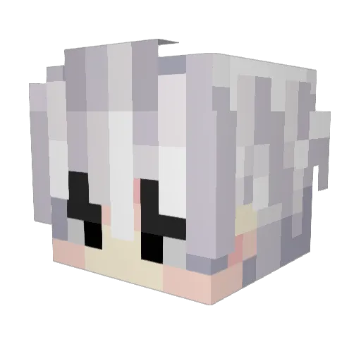 sio1701 Minecraft avatar head, 3D render