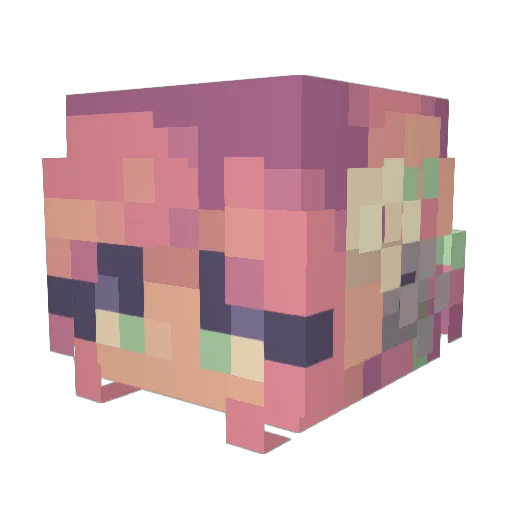 siobhanbooks Minecraft avatar head, 3D render