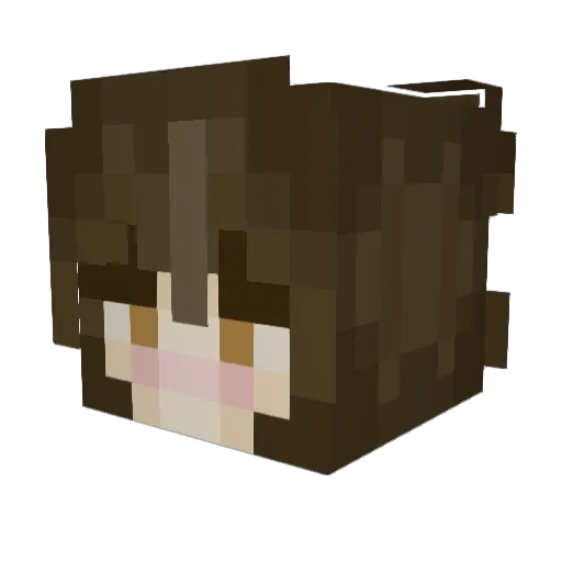 siopwned Minecraft avatar head, 3D render