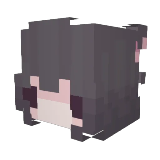 siou Minecraft avatar head, 3D render