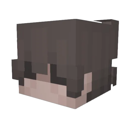 sipblockson Minecraft avatar head, 3D render