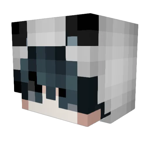 siqaeda Minecraft avatar head, 3D render