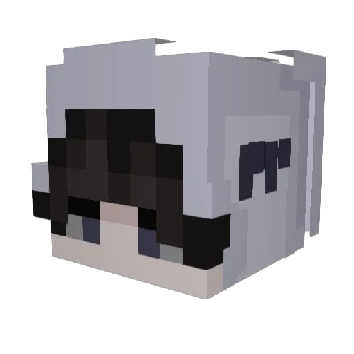 siqwx Minecraft avatar head, 3D render