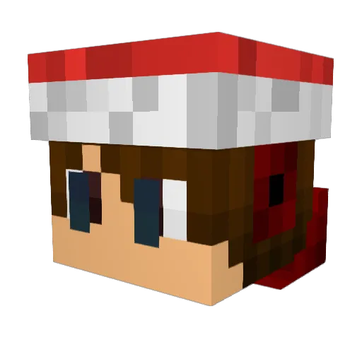 sirTiesio Minecraft avatar head, 3D render