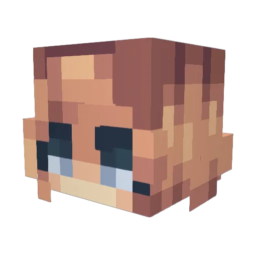 sir_bobbins Minecraft avatar head, 3D render