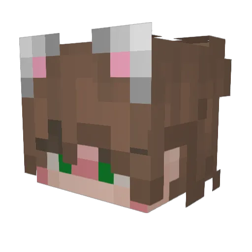 sir_grayknight Minecraft avatar head, 3D render