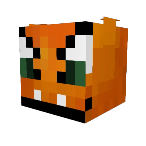 sir_mittens2 Minecraft avatar head, 3D render