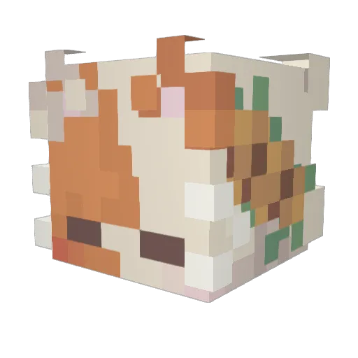 sir_skull Minecraft avatar head, 3D render