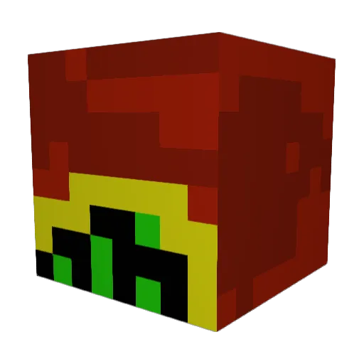 sir_stinkey Minecraft avatar head, 3D render