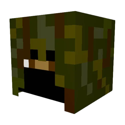 sirdigsalot1 Minecraft avatar head, 3D render