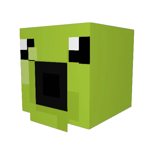 sirdoggydog Minecraft avatar head, 3D render