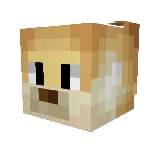 sirfarmdog Minecraft avatar head, 3D render