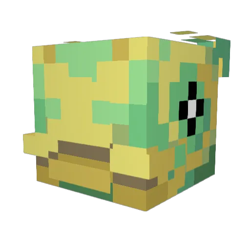 sirflipflopalot Minecraft avatar head, 3D render