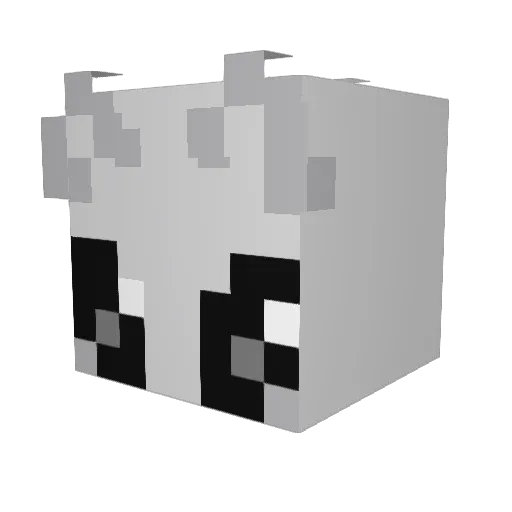 sirius507 Minecraft avatar head, 3D render
