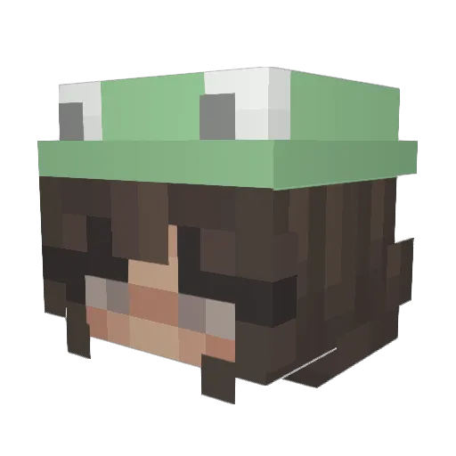 sirjulica Minecraft avatar head, 3D render