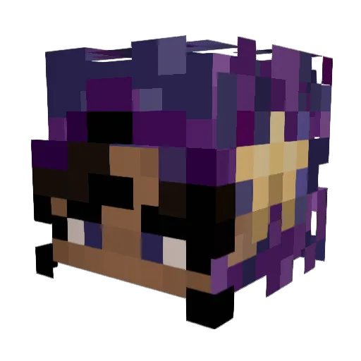 sirkarlpopper Minecraft avatar head, 3D render