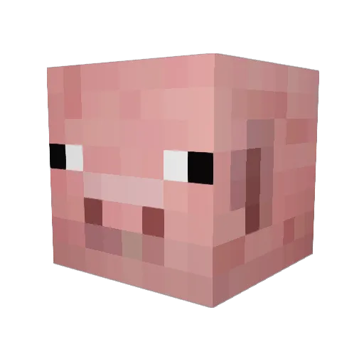 sirpigface Minecraft avatar head, 3D render