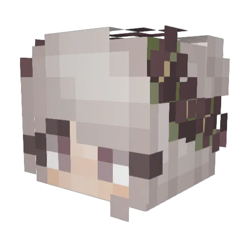 sirsneezy Minecraft avatar head, 3D render