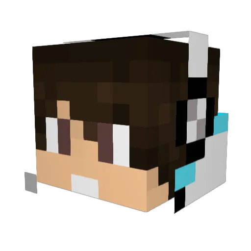 sirtoby1 Minecraft avatar head, 3D render