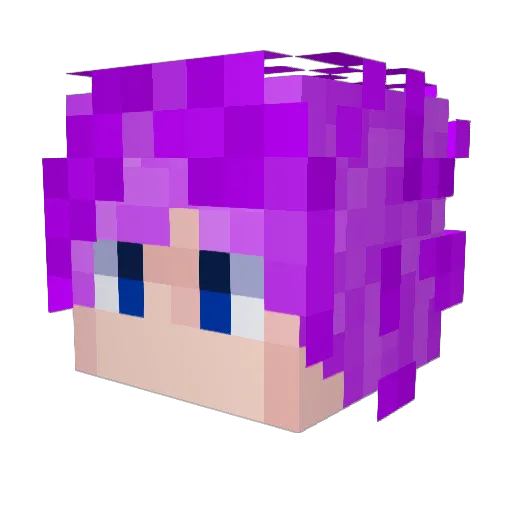 sirvoorhees Minecraft avatar head, 3D render