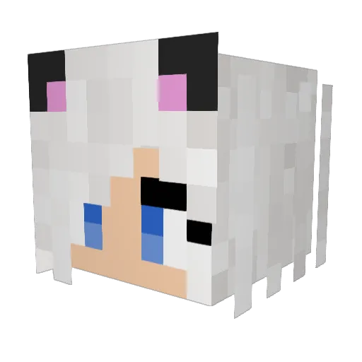 sirxxa Minecraft avatar head, 3D render