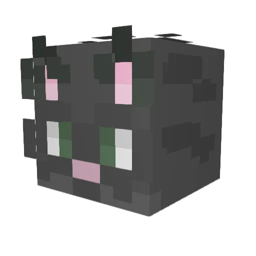 sisi_kitten Minecraft avatar head, 3D render
