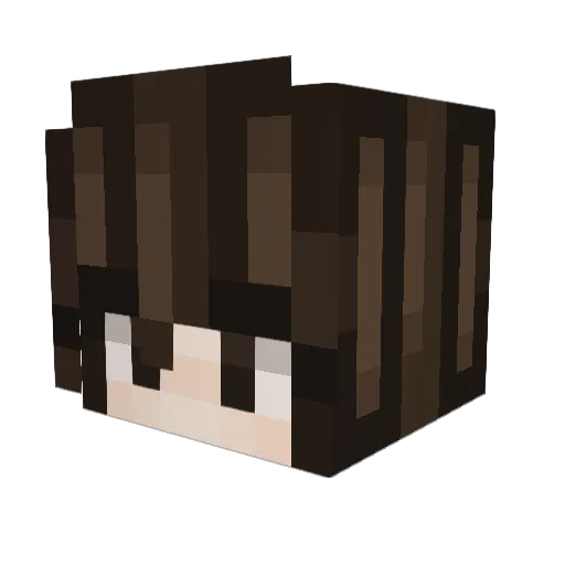 sisicute Minecraft avatar head, 3D render