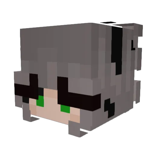 siss1 Minecraft avatar head, 3D render