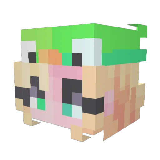 sitaska Minecraft avatar head, 3D render