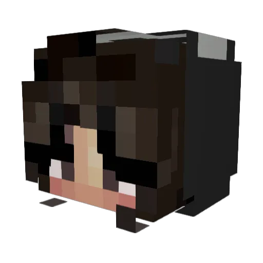 sithstrings Minecraft avatar head, 3D render