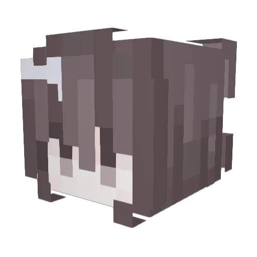 siujinna Minecraft avatar head, 3D render