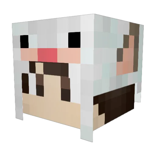 siul1337 Minecraft avatar head, 3D render