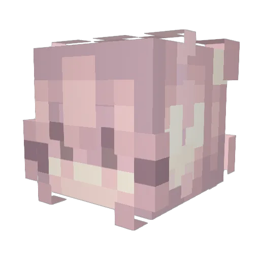 siun_kk Minecraft avatar head, 3D render