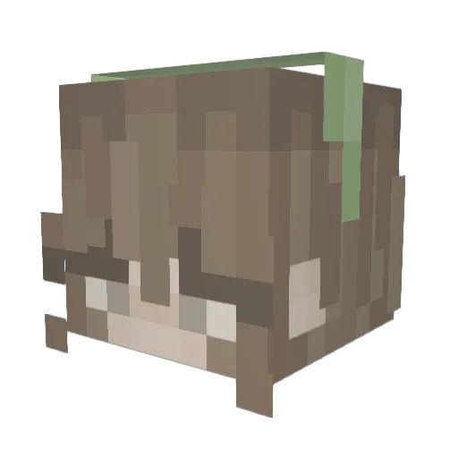 siv280 Minecraft avatar head, 3D render