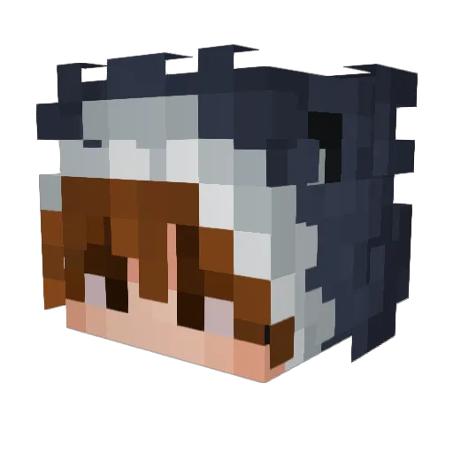 sixfen Minecraft avatar head, 3D render