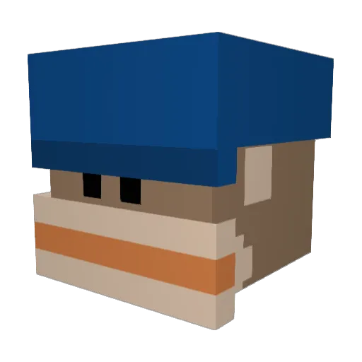sixftditch Minecraft avatar head, 3D render