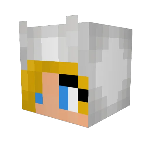 sixier266 Minecraft avatar head, 3D render