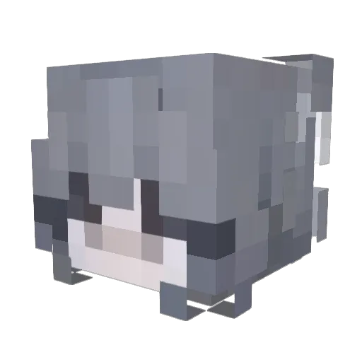 sixiidd Minecraft avatar head, 3D render