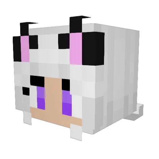 sixmythicalsix Minecraft avatar head, 3D render