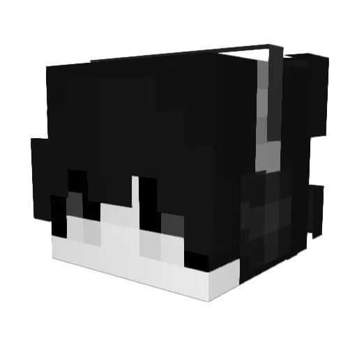 sixpackofbeer_ Minecraft avatar head, 3D render
