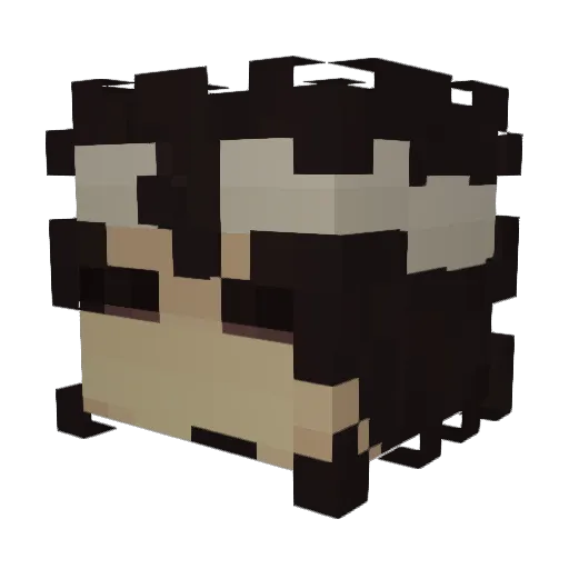 sixty4gamer Minecraft avatar head, 3D render