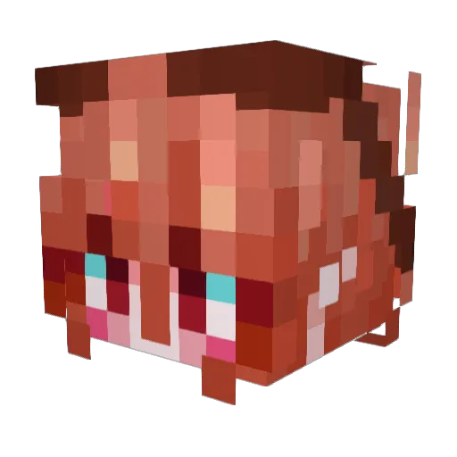 sixweenies Minecraft avatar head, 3D render