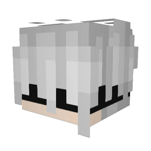 sizledoozle Minecraft avatar head, 3D render