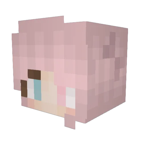 sj2202 Minecraft avatar head, 3D render