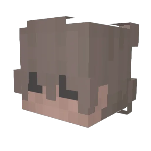 sja1234 Minecraft avatar head, 3D render